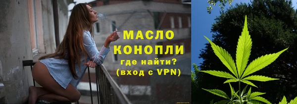 шишки Верхний Тагил