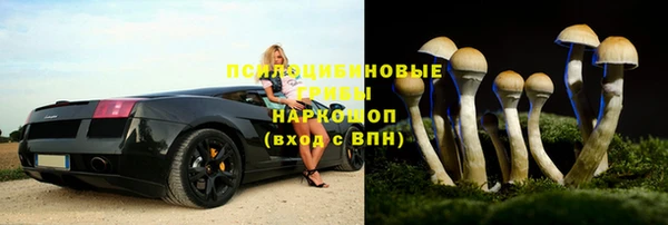 прущие крисы Балабаново